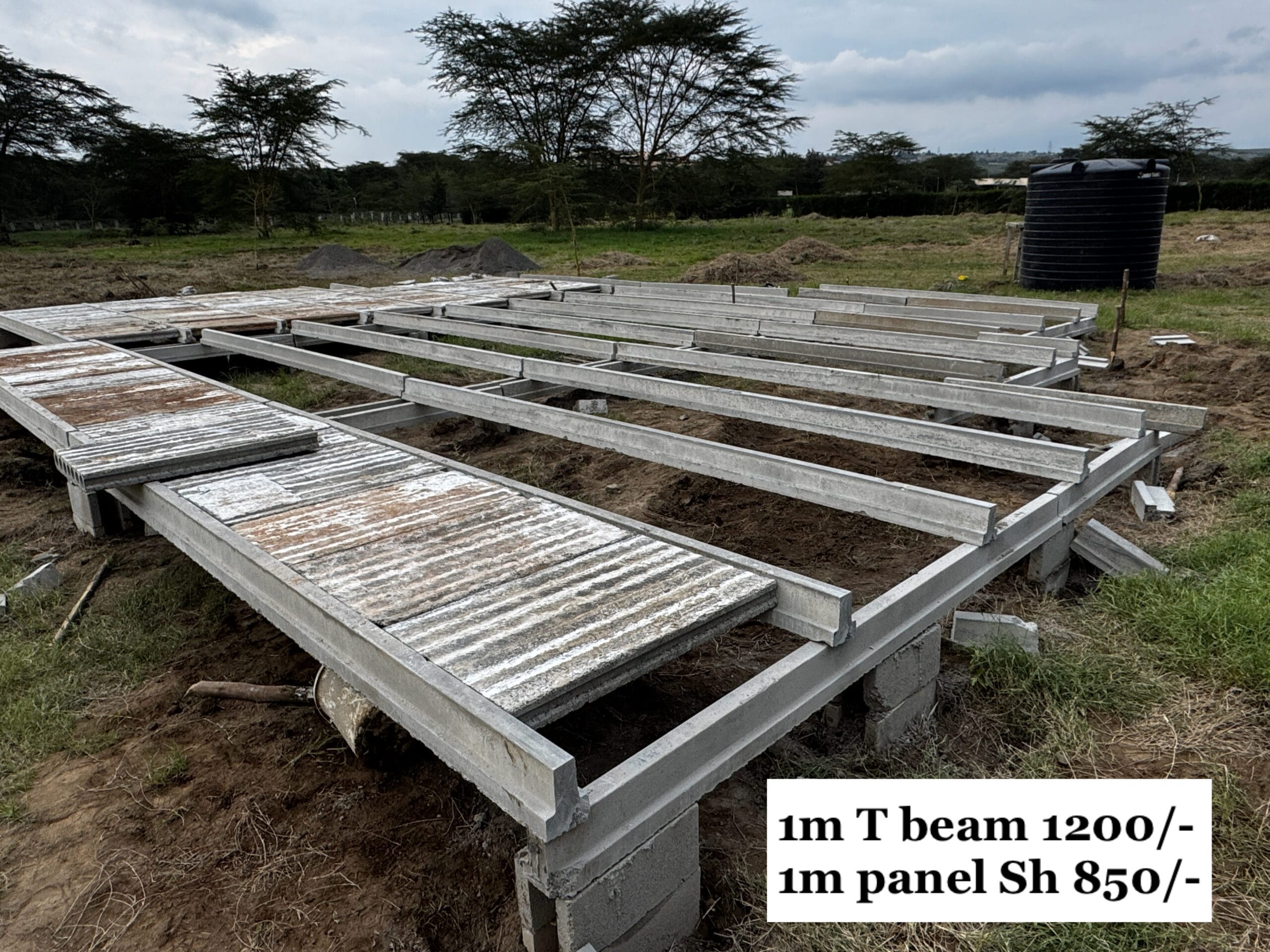 created by photogrid